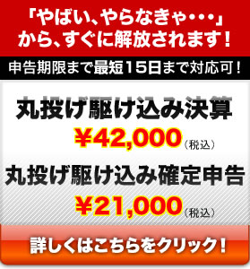 丸投げ駆け込み決算／丸投げ駆け込み確定申告